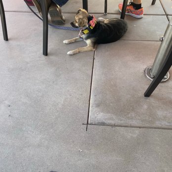 Wiens Cellars - Dog friendly patio! - Wine Tasting Room Near Me - Temecula, California
