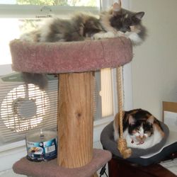 Auntie Linda's - Chilling!