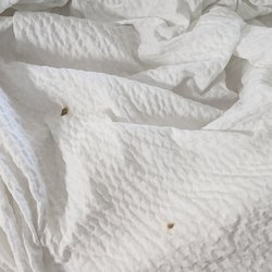 Bluegreen Vacations Patrick Henry Square,Ascend Resort - Burns on the blanket that was on the bed my husband slept on.