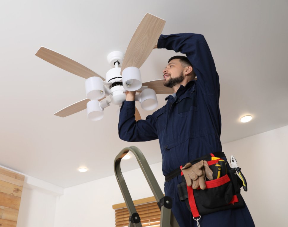 Slide of Re Juv A Nation