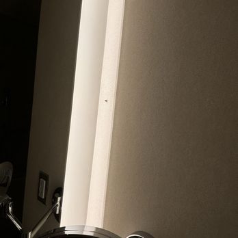 InterContinental Boston - Bugs in the room - Hotels Near Me - Boston, Massachusetts