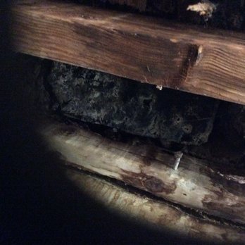 Pest Tech Hawaii - More under the house damage - Pest Control Near Me - Honolulu, Hawaii Pest Tech Hawaii - More under the house damage - Pest Control Near Me - Honolulu, Hawaii