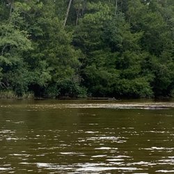 Bob's Canoe Rentals & Sales