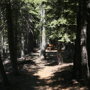 Frazier Falls Trail - There are parts of the path that are covered by trees. There are also benches along the trail to rest your feet or enjoy the scenery. - Hiking Near Me - Graeagle, California