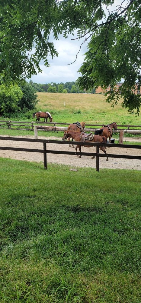Dan Patch Stables - equestrian in Lake Geneva, WI