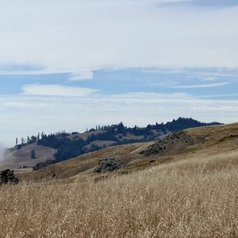 Jenner Headlands Preserve - View at Jenner Headlands Preserve - Hiking Near Me - Jenner, California