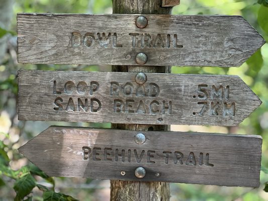 Beehive Trail by null