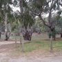 Photo of Deniliquin Riverside Caravan Park
