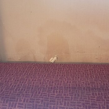 Oceanfront Lodge - Food, hair and stains on only chair in the room - Hotels Near Me - Crescent City, California Oceanfront Lodge - Food, hair and stains on only chair in the room - Hotels Near Me - Crescent City, California