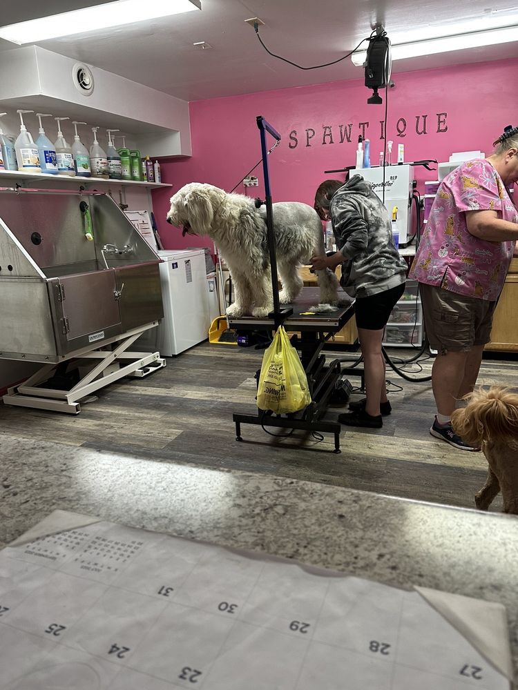 SPAWTIQUE PET GROOMING Updated October 2024 1500 Ferndale Ave