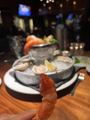 Ocean Prime by null
