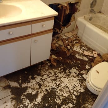 Rest-A-Sure Restoration - Another nightmare bathroom back up. Let the pros handle the clean up and sanitation. - Damage Restoration Near Me - Orland Park, Illinois Rest-A-Sure Restoration - Another nightmare bathroom back up. Let the pros handle the clean up and sanitation. - Damage Restoration Near Me - Orland Park, Illinois