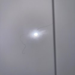 Candlewood Suites Longview - Black hair in the shower P.S. I'm a blonde