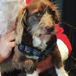 She wasn't crazy about Christmas photos!!