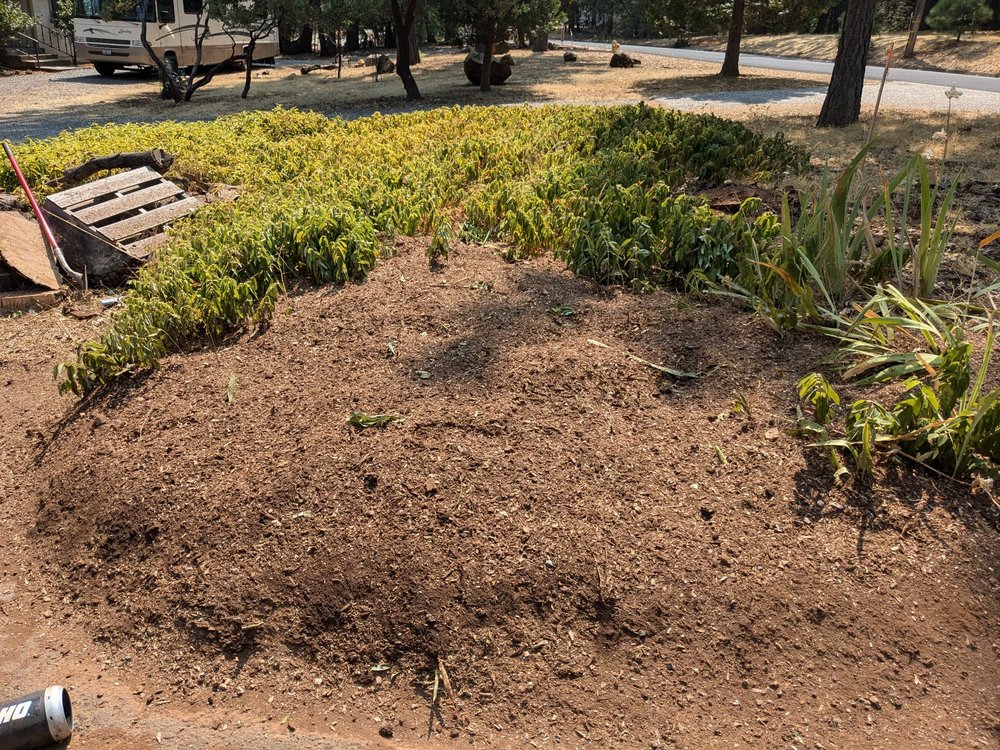 Big Ben’s Stump Grinding and Tree Care - tree service in Sacramento, CA