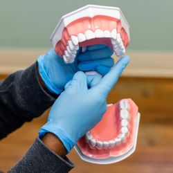 Royal Family Dentistry