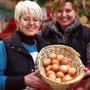 Photo of Brighton Bank Holiday Market