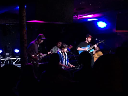 The Blind Pig by null