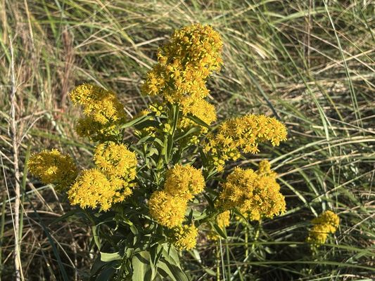 Fort Tilden Beach by null