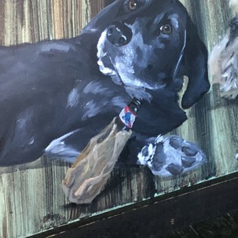 Skip's Bar & Grill - Cool dog - Bars Near Me - Dunedin, Florida Skip's Bar & Grill - Cool dog - Bars Near Me - Dunedin, Florida