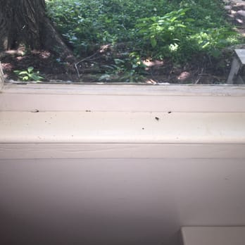 ServiceMaster Cleaning & Restoration by NEK - Lawrence - Dead flys and dirt on window sill - Carpet Cleaning Near Me - Lawrence, Kansas ServiceMaster Cleaning & Restoration by NEK - Lawrence - Dead flys and dirt on window sill - Carpet Cleaning Near Me - Lawrence, Kansas