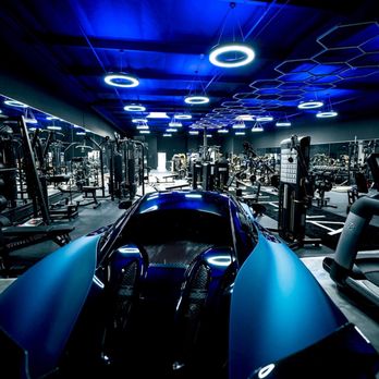 Live Alpha - Trainers Near Me - Costa Mesa, California Live Alpha - Trainers Near Me - Costa Mesa, California