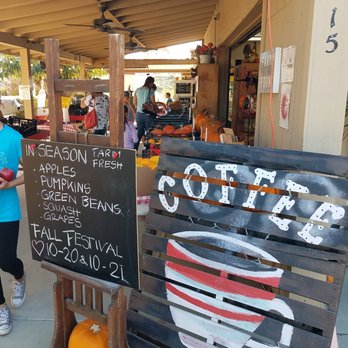 Farm Stand West, Fresh Produce, Pumpkin Patch, Christmas Trees - Fruits & Veggies Near Me - Escondido, California Farm Stand West, Fresh Produce, Pumpkin Patch, Christmas Trees - Fruits & Veggies Near Me - Escondido, California