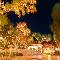 Sunset Gardens - Our garden pavilion at night with twinkle lights