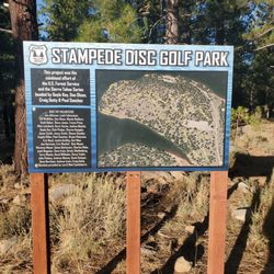 Professional Disc Golf Association