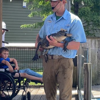 Alligator Adventure - Live show learning about the animals including alligators - Amusement Parks Near Me - North Myrtle Beach, South Carolina Alligator Adventure - Live show learning about the animals including alligators - Amusement Parks Near Me - North Myrtle Beach, South Carolina