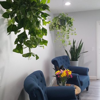 The Green Place - The hanging Pothos and an ivy look perfect in my seating area. - Nurseries & Gardening Near Me - Fullerton, California The Green Place - The hanging Pothos and an ivy look perfect in my seating area. - Nurseries & Gardening Near Me - Fullerton, California
