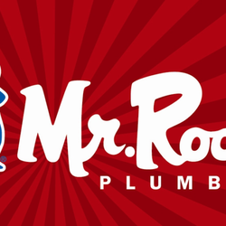 Mr Rooter