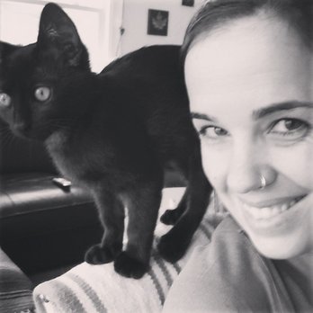 Kitty Karma Cat Sitting - Pet Sitting Near Me Kitty Karma Cat Sitting - Pet Sitting Near Me