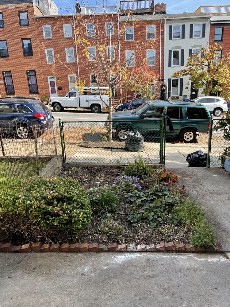 Grass Monkey Lawn Care - tree service in Baltimore, MD