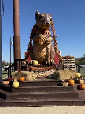 Berdoll Pecan Candy & Gift Company by null