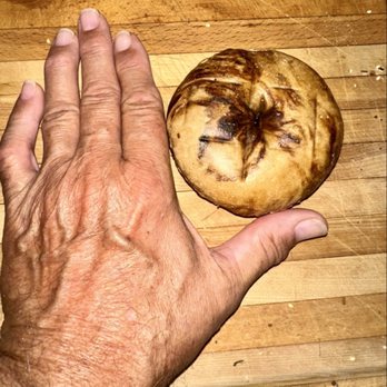 Bagel Bob’s - Cinnamon Rasin Babel next to my hand to give a perspective to the small size. - Bakeries Near Me - Houston, Texas Bagel Bob’s - Cinnamon Rasin Babel next to my hand to give a perspective to the small size. - Bakeries Near Me - Houston, Texas