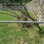 Photo of Fort Riley Dog Park