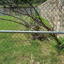 Fort Riley Dog Park - Fallen tree leaving injury hazard for dogs and children.