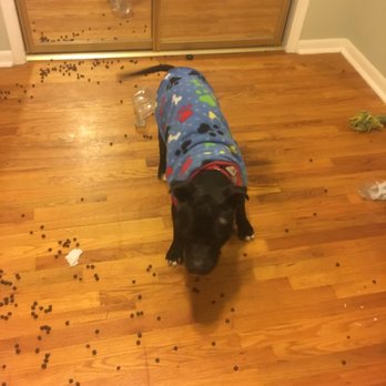 Petco - Pet Stores Near Me - Lenexa, Kansas Petco - Pet Stores Near Me - Lenexa, Kansas