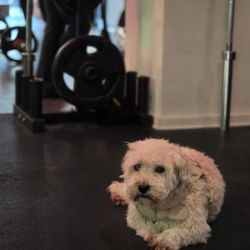 One of the best workout buddies!