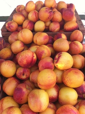 Santana Row Farmers' Market (Open May - September) by null