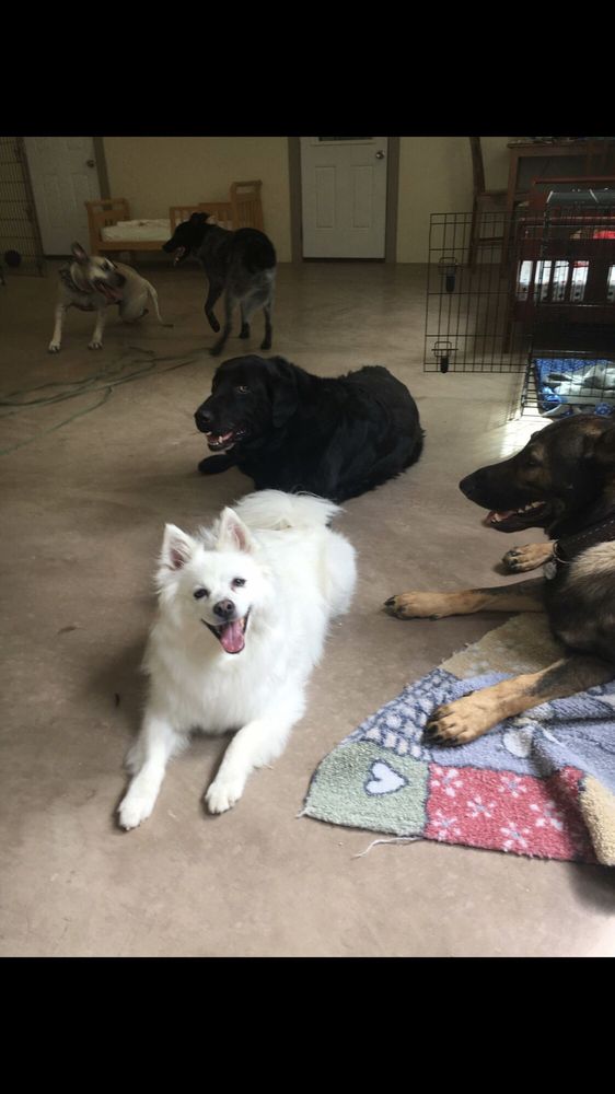 ALMOST HOME KENNELS Updated October 2024 732 Schemmer Rd, Wright