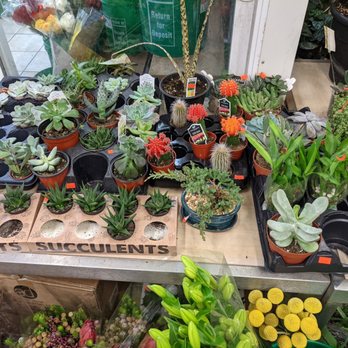 Victoria Flowers - Florists Near Me - Toronto, Ontario Victoria Flowers - Florists Near Me - Toronto, Ontario
