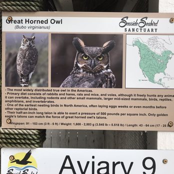 Seaside Seabird Sanctuary - Animal Shelters Near Me - Indian Shores, Florida Seaside Seabird Sanctuary - Animal Shelters Near Me - Indian Shores, Florida