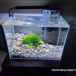 Aquascaping Supply