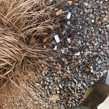 High Desert Mobile Detailing - Trash behind my front yard bush. - Auto Detailing Near Me - Reno, Nevada High Desert Mobile Detailing - Trash behind my front yard bush. - Auto Detailing Near Me - Reno, Nevada