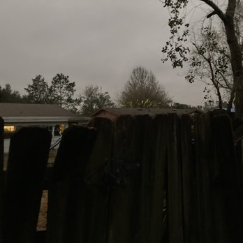 Good Guy Tree Service - Tree Services Near Me Good Guy Tree Service - Tree Services Near Me