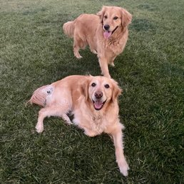 Happy Little Buddies clients Happy Little Buddies clients