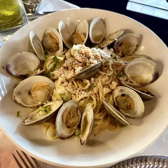 Mia Rosebud - Clams Linguini - Italian Near Me - Boca Raton, Florida Mia Rosebud - Clams Linguini - Italian Near Me - Boca Raton, Florida