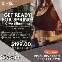 Zivel